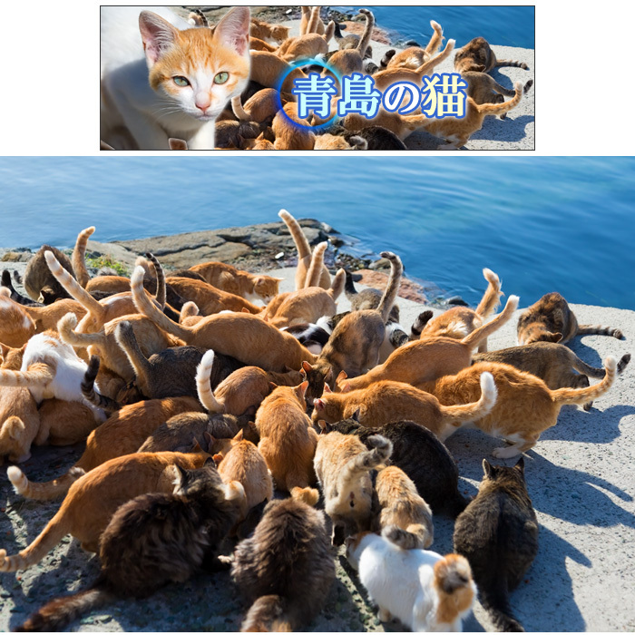 officekのプレスリリース画像1