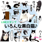 officekのプレスリリース画像1