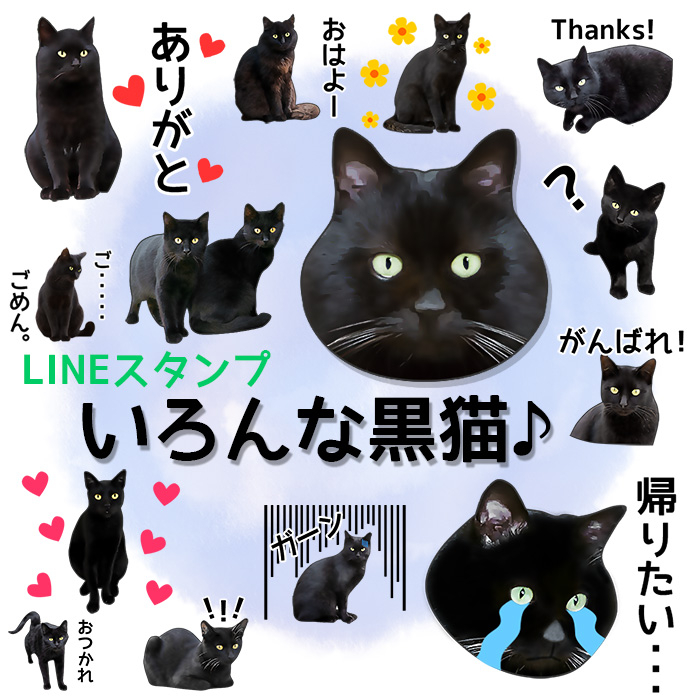 Lineスタンプ いろんな黒猫 リリース 有限会社オフィスケーのプレスリリース Lineスタンプ いろんな黒猫 リリース 有限会社オフィスケーのプレスリリース