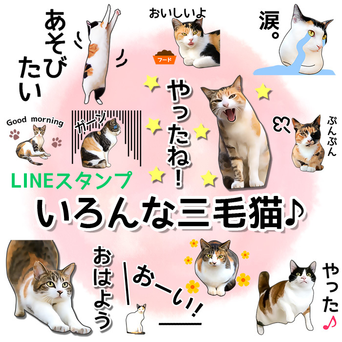 officekのプレスリリース画像1