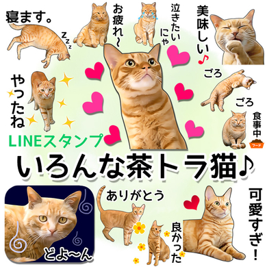 Lineスタンプ いろんな茶トラ猫 リリース 有限会社オフィスケーのプレスリリース Lineスタンプ いろんな茶トラ猫 リリース 有限会社オフィスケーのプレスリリース