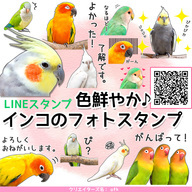 officekのプレスリリース画像1