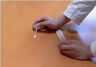 トレンド総研のプレスリリース画像5