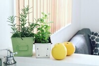 トレンド総研のプレスリリース画像2