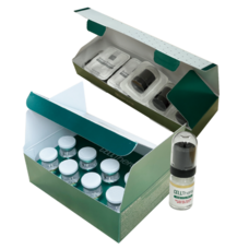 株式会社INBYTEのプレスリリース画像4