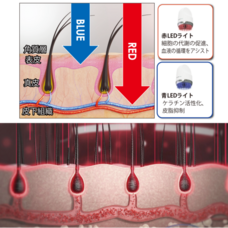 株式会社INBYTEのプレスリリース画像7