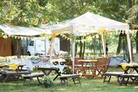 株式会社フェアリー・テイルのプレスリリース画像1