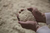 ひかり味噌株式会社のプレスリリース画像8