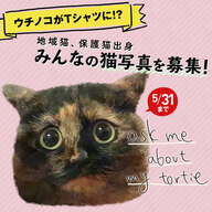 世界中から集めた小粋なデザインたち quoteのプレスリリース画像1