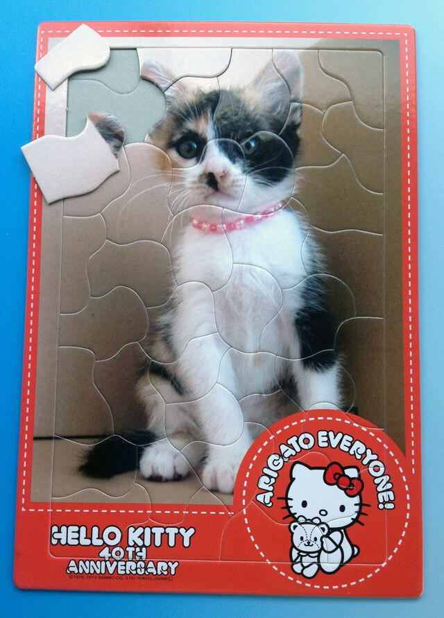 株式会社オフィス・タカハシのプレスリリース画像1