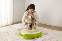 新日本カレンダー株式会社のプレスリリース画像2