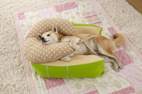 新日本カレンダー株式会社のプレスリリース画像4