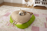 新日本カレンダー株式会社のプレスリリース画像1