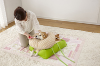 新日本カレンダー株式会社のプレスリリース画像3