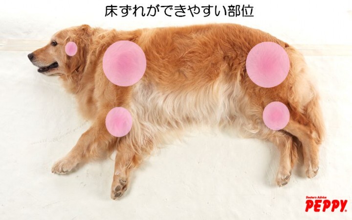 新日本カレンダー株式会社のプレスリリース画像5