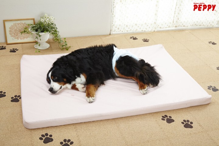 新日本カレンダー株式会社のプレスリリース画像1