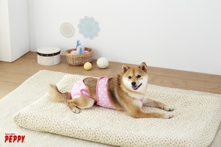 新日本カレンダー株式会社のプレスリリース画像4