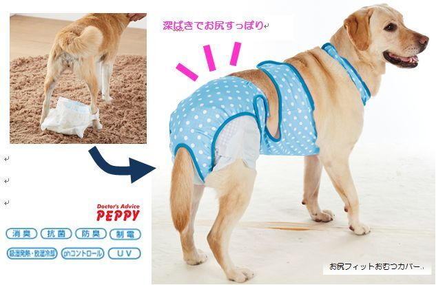 新日本カレンダー株式会社のプレスリリース画像1