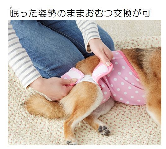 新日本カレンダー株式会社のプレスリリース画像2