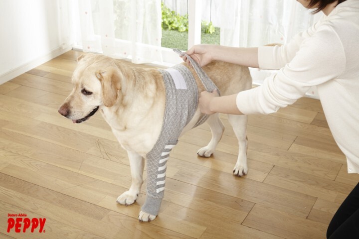 新日本カレンダー株式会社のプレスリリース画像3