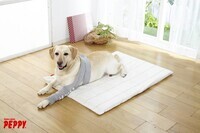 新日本カレンダー株式会社のプレスリリース画像4