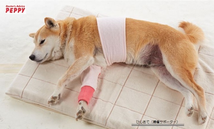 新日本カレンダー株式会社のプレスリリース画像1