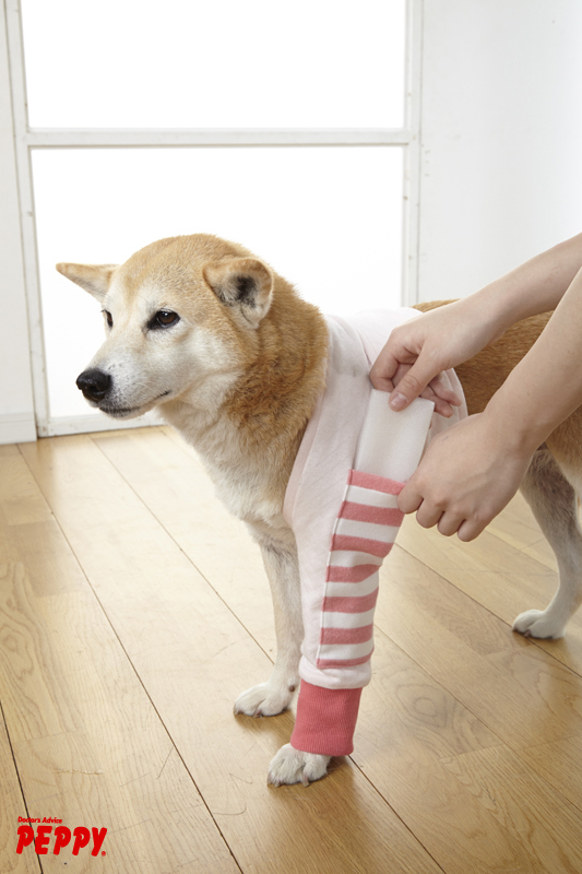 新日本カレンダー株式会社のプレスリリース画像2