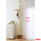 新日本カレンダー株式会社のプレスリリース画像7