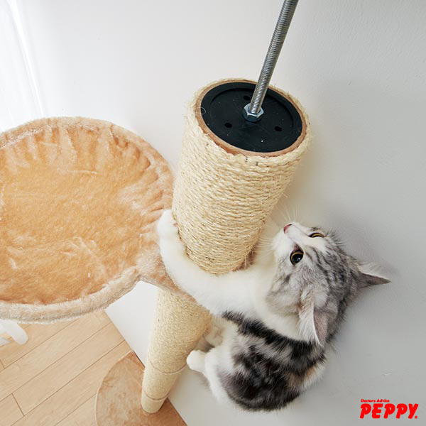 新日本カレンダー株式会社のプレスリリース画像5