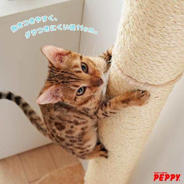 新日本カレンダー株式会社のプレスリリース画像1