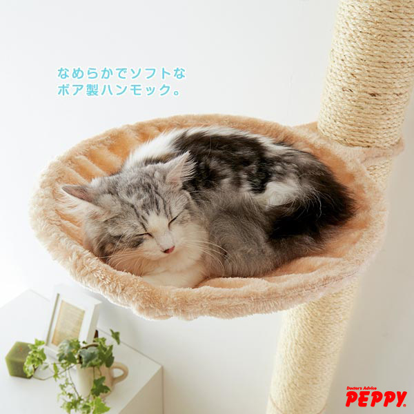 新日本カレンダー株式会社のプレスリリース画像2