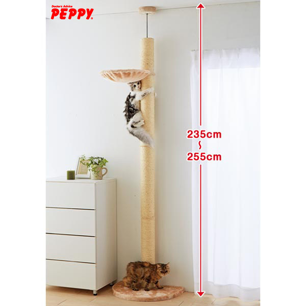 新日本カレンダー株式会社のプレスリリース画像4