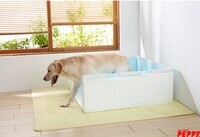 新日本カレンダー株式会社のプレスリリース画像3