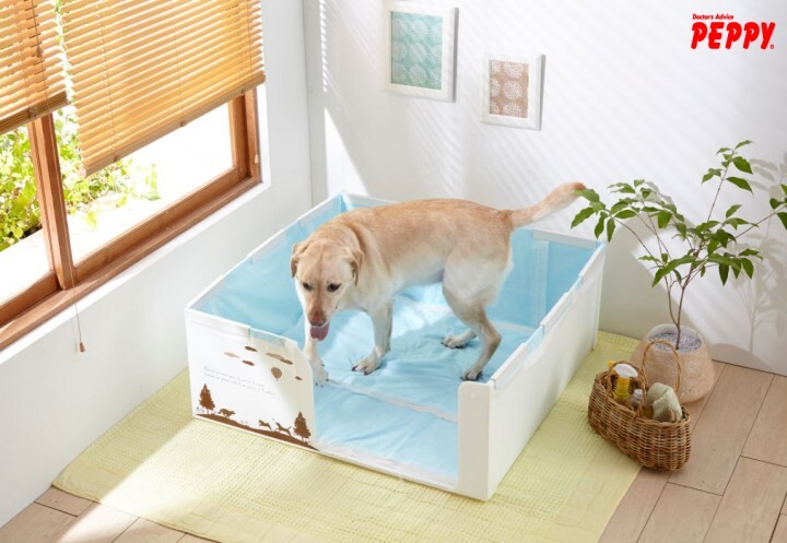 新日本カレンダー株式会社のプレスリリース画像1