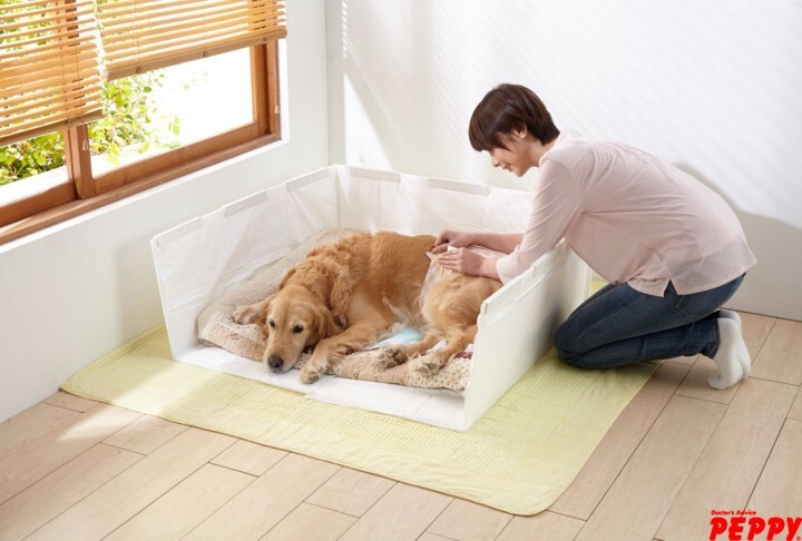 新日本カレンダー株式会社のプレスリリース画像4