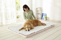 新日本カレンダー株式会社のプレスリリース画像1