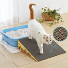 新日本カレンダー株式会社のプレスリリース画像1