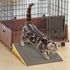 新日本カレンダー株式会社のプレスリリース画像2