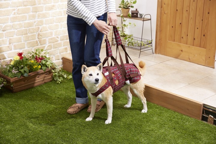 新日本カレンダー株式会社のプレスリリース画像1