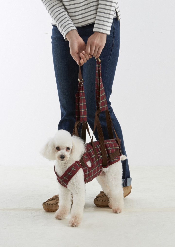 新日本カレンダー株式会社のプレスリリース画像2