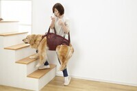 新日本カレンダー株式会社のプレスリリース画像4