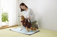 新日本カレンダー株式会社のプレスリリース画像3