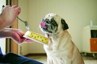 新日本カレンダー株式会社のプレスリリース画像1