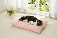 新日本カレンダー株式会社のプレスリリース画像2