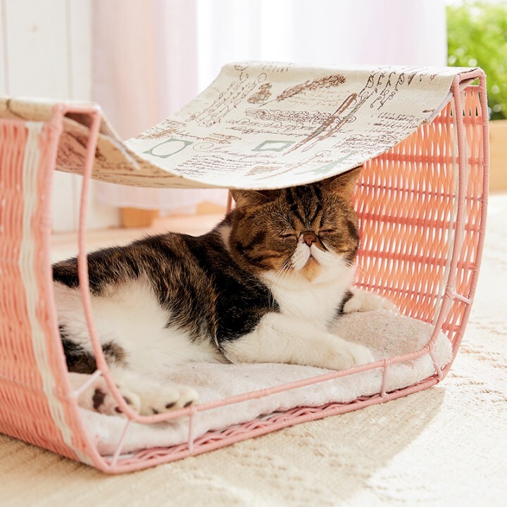 新日本カレンダー株式会社のプレスリリース画像4