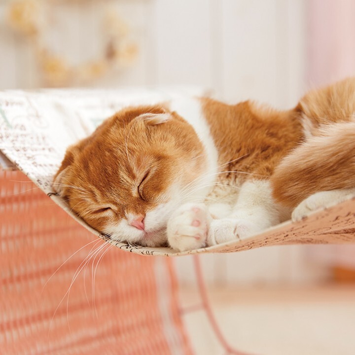 新日本カレンダー株式会社のプレスリリース画像2