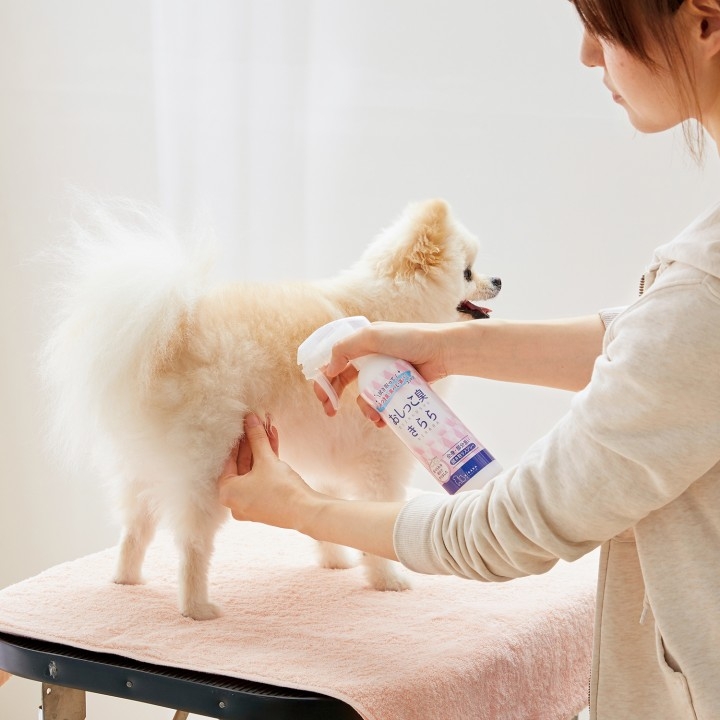 愛犬がにおうのはおしっこ臭が原因 ありそうでなかった 尿臭 対応消臭スプレー シャンプー おしっこ臭きらら を発売 ペット用品の通販ショップ Peppy 新日本カレンダー株式会社のプレスリリース 愛犬がにおうのはおしっこ臭が原因 ありそうでなかった 尿臭 対応消臭スプレー シャンプー おしっこ臭きらら を発売 ペット用品の通販ショップ Peppy 新日本カレンダー株式会社のプレスリリース