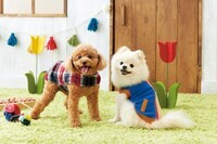 新日本カレンダー株式会社のプレスリリース画像1