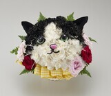 新日本カレンダー株式会社のプレスリリース画像7