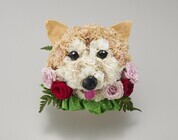 新日本カレンダー株式会社のプレスリリース画像4